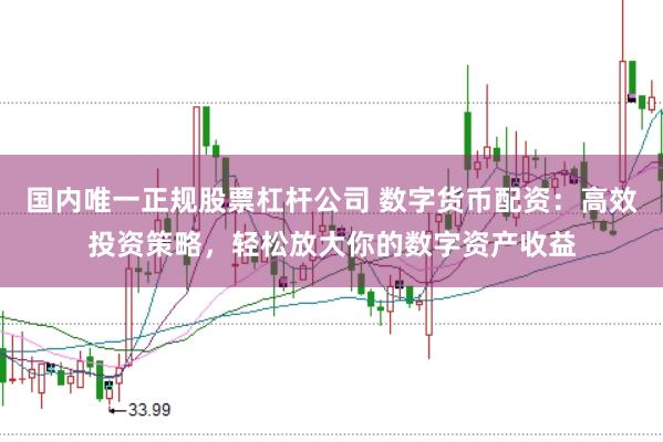 国内唯一正规股票杠杆公司 数字货币配资：高效投资策略，轻松放大你的数字资产收益