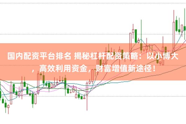 国内配资平台排名 揭秘杠杆配资策略：以小博大，高效利用资金，财富增值新途径！