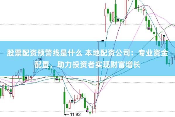 股票配资预警线是什么 本地配资公司：专业资金配置，助力投资者实现财富增长