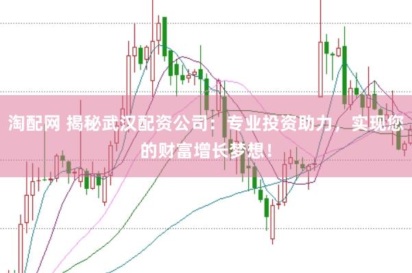 淘配网 揭秘武汉配资公司：专业投资助力，实现您的财富增长梦想！