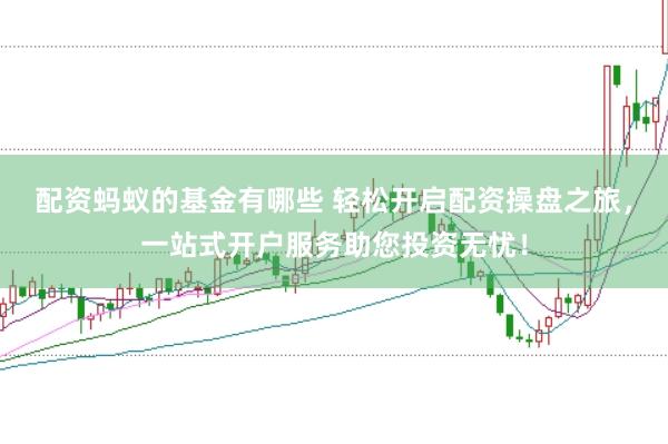 配资蚂蚁的基金有哪些 轻松开启配资操盘之旅，一站式开户服务助您投资无忧！