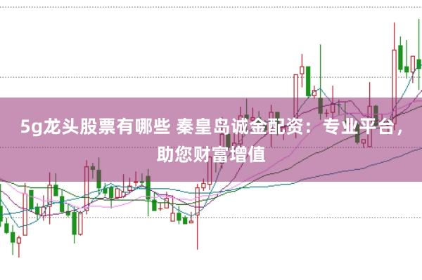 5g龙头股票有哪些 秦皇岛诚金配资：专业平台，助您财富增值