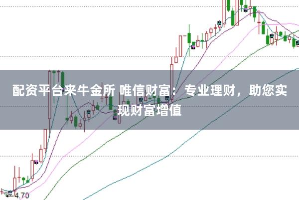 配资平台来牛金所 唯信财富：专业理财，助您实现财富增值