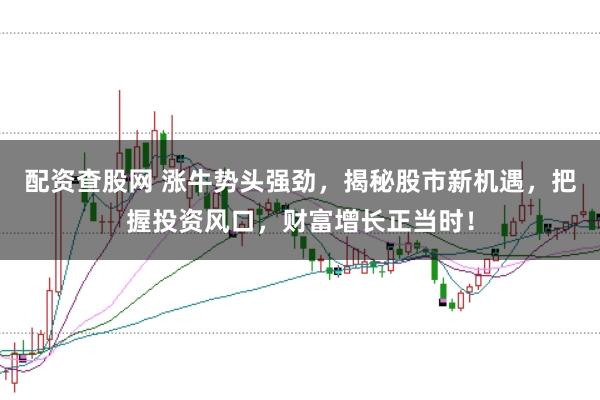 配资查股网 涨牛势头强劲，揭秘股市新机遇，把握投资风口，财富增长正当时！