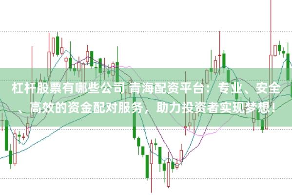 杠杆股票有哪些公司 青海配资平台：专业、安全、高效的资金配对服务，助力投资者实现梦想！