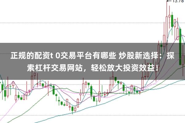 正规的配资t 0交易平台有哪些 炒股新选择:探索杠杆交易网站,轻松放大投资效益!