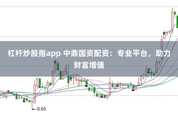 杠杆炒股指app 中鼎国资配资：专业平台，助力财富增值