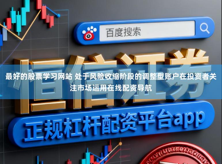最好的股票学习网站 处于风险收缩阶段的调整型账户在投资者关注市场运用在线配资导航