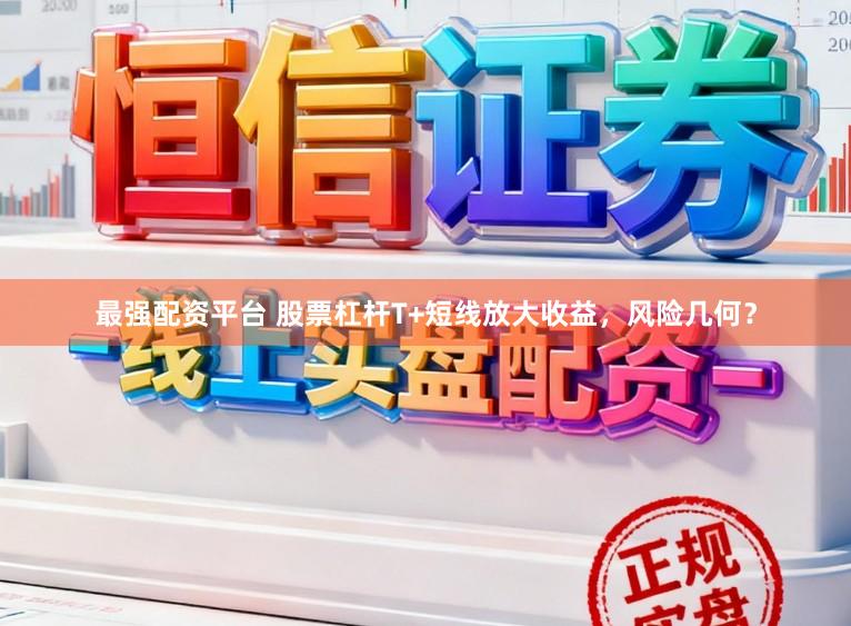 最强配资平台 股票杠杆T+短线放大收益，风险几何？